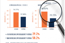 入驻高端连锁宠物机构，宠物健康品牌兽医任务成院线新宠