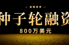 金链资本完成数百万美元种子轮融资，加速推进商业化落地