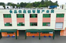 菜田甄选，鲜美直达｜菜田供应链，重塑净菜新鲜标准